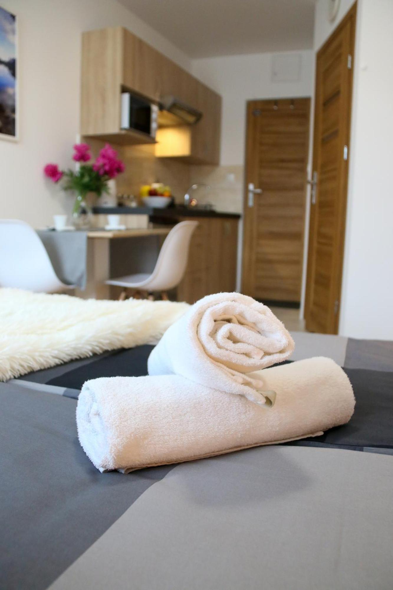 Apartment Interdom Zakopane